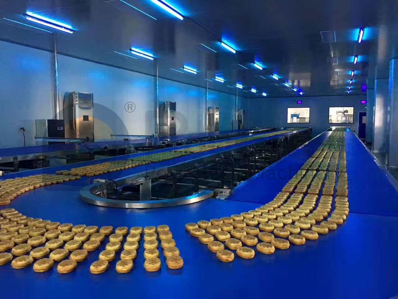 Automatic High Efficient Bakery Food Processing Line from China