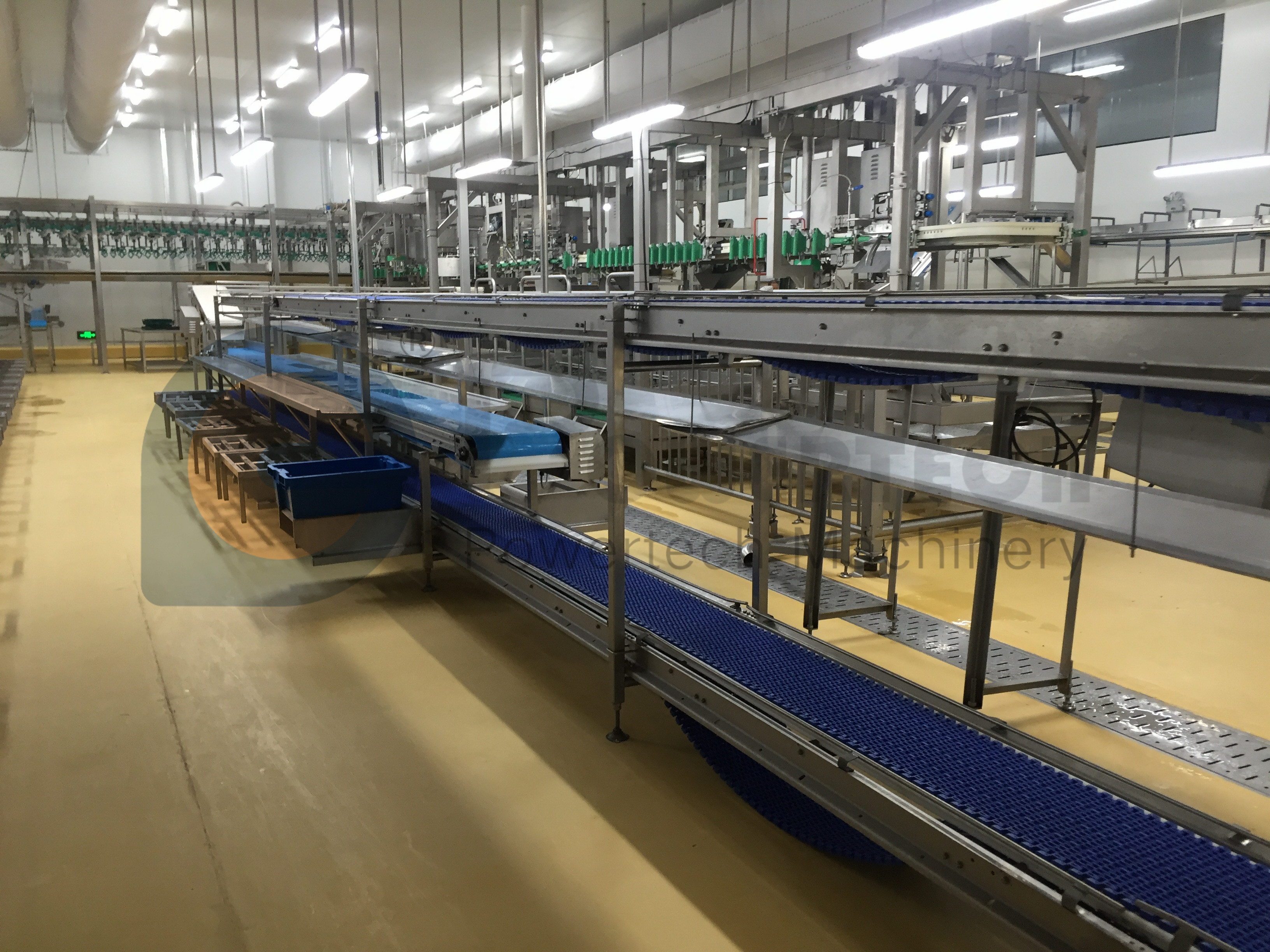 Automatic High Efficient Poultry Processing Line from China