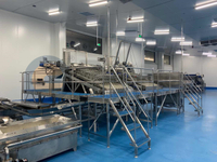 Automatic High Capacity Vannmei PUD Processing Line